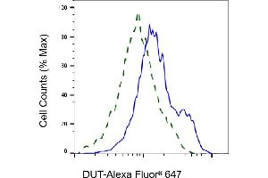 Validation of DUT knockdown using flow cytometry. (Rekombinanter Deoxyuridine Triphosphatase (DUT) Antikörper)