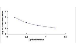 ELISA image for Endothelin 1 (EDN1) ELISA Kit (ABIN4947531)