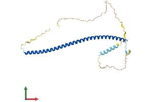Protein Structure (PS) image for Protein Kinase C, delta Binding Protein (PRKCDBP) (AA 1-260) protein (His tag) (ABIN7559991)