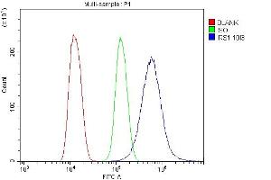 Flow Cytometry analysis of U20S cells using anti-IRS1 antibody (ABIN7599659). (IRS1 Antikörper  (AA 1041-1242))