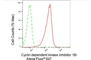Flow cytometric analysis of Cyclin dependent kinase inhibitor 1B expression in HAP-1 cells using Cyclin dependent kinase inhibitor 1B antibody (ABIN7798223), 1:2,000). (Rekombinanter CDKN1B Antikörper)