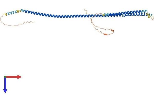 SYCE1 Protein (AA 1-351) (His tag)