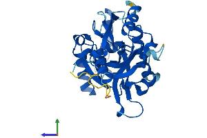 AlphaFold protein structure predicition of Human Recombinant NUDT22 Protein, UniprotID Q9BRQ3