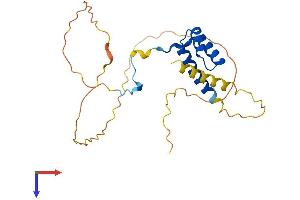 HOXA7 Protein (AA 1-229) (His tag)