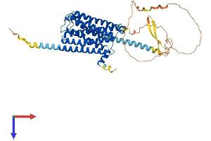 CHRM4 Protein (AA 1-479) (His tag)