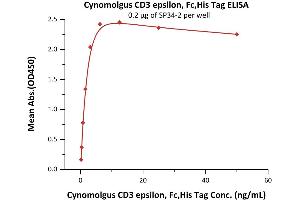 Immobilized SP34-2 at 2 μg/mL (100 μL/well) can bind Cynomolgus CD3 epsilon, Fc,His Tag (ABIN2180777,ABIN2180776) with a linear range of 0. (CD3 epsilon Protein (CD3E) (AA 22-117) (His tag,Fc Tag))