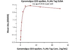 Immobilized SP34-2 at 2 μg/mL (100 μL/well) can bind Cynomolgus CD3 epsilon, Fc,His Tag (ABIN2180777,ABIN2180776) with a linear range of 0.