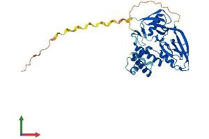 Protein Structure (PS) image for GIPC PDZ Domain Containing Family, Member 3 (GIPC3) (AA 1-312) protein (His tag) (ABIN7547926)