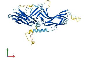 AlphaFold protein structure predicition of Mouse Recombinant Rgp1 Protein, UniprotID Q8BHT7