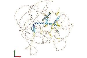 Protein Structure (PS) image for Atrophin 1 (ATN1) (AA 1-1175) protein (His tag) (ABIN7562269)