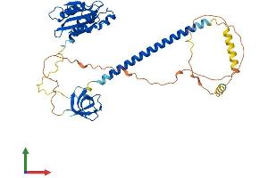 Protein Structure (PS) image for Drebrin-Like (DBNL) (AA 1-430) protein (His tag) (ABIN7553649)