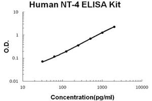 Human NT-4 Accusignal ELISA Kit Human NT-4 AccuSignal ELISA Kit standard curve. (Neurotrophin 4 ELISA Kit)
