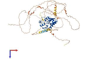 N4BP2L2 Protein (AA 1-583) (His tag)