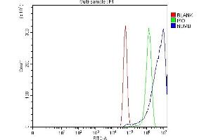 Flow Cytometry analysis of U87 cells using anti-NUMB antibody (ABIN3043374). (NUMB Antikörper  (N-Term))