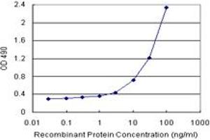 Sandwich ELISA detection sensitivity ranging from 0.