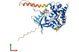 AlphaFold protein structure predicition of Human Recombinant IP6K2 Protein, UniprotID Q9UHH9