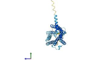 Protein Structure (PS) image for G Protein-Coupled Receptor 31 (GPR31) (AA 1-319) protein (His tag) (ABIN7562149)