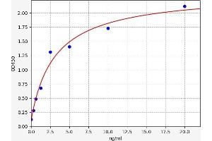 Typical standard curve (KCNA5 ELISA Kit)