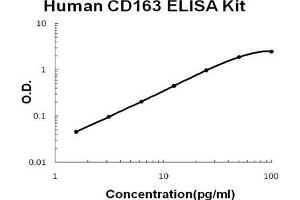 Human CD163 PicoKine ELISA Kit standard curve (CD163 ELISA Kit)