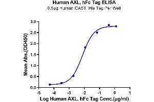 ELISA image for AXL Receptor tyrosine Kinase (AXL) (AA 26-449) protein (Fc Tag) (ABIN7273882)