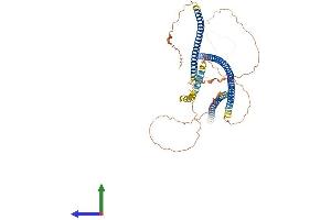 Protein Structure (PS) image for Intermediate Filament Family Orphan 1 (IFFO1) (AA 1-562) protein (His tag) (ABIN7559002)