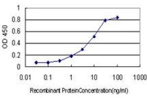 Detection limit for recombinant GST tagged PLAU is approximately 0. (PLAU Antikörper  (AA 16-115))
