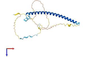 Geminin Protein (AA 1-209) (His tag)