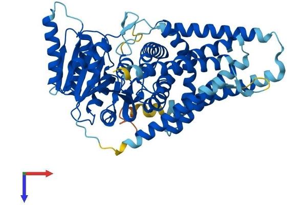 HAS2 Protein (AA 1-552) (His tag)