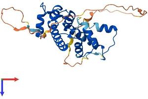 PEF1 Protein (AA 1-275) (His tag)