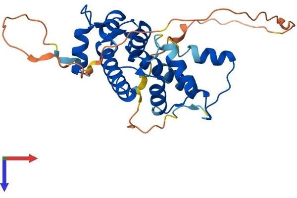 PEF1 Protein (AA 1-275) (His tag)