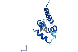 Protein Structure (PS) image for S100 Calcium Binding Protein A11 (S100A11) (AA 1-98) protein (His tag) (ABIN7563366)