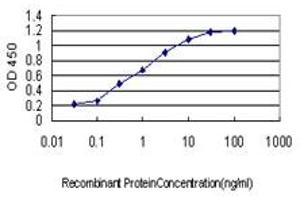 ELISA image for anti-Ceramide Synthase 6 (CERS6) (AA 62-132) antibody (ABIN466277) (CERS6 Antikörper  (AA 62-132))