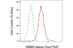 Flow cytometric analysis of RBMX expression in HepG2 cells using RBMX antibody (ABIN7800256), 1:2,000). (Rekombinanter RBMX Antikörper)