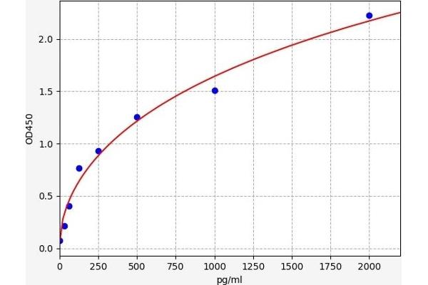 MCL-1 ELISA Kit