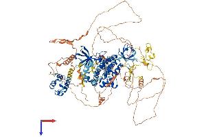 TNK2 Protein (AA 1-1038) (His tag)