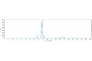 The purity of Anti-CD79b Reference Antibody (polatuzumab) is 98. (Rekombinanter CD79B (Polatuzumab Biosimilar) Antikörper)