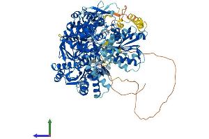 Protein Structure (PS) image for Nitric Oxide Synthase 2, Inducible (NOS2) (AA 1-1144) protein (His tag) (ABIN7563075)