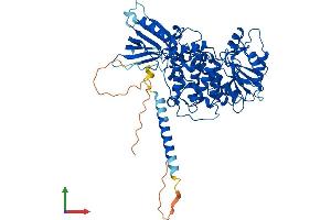 Protein Structure (PS) image for Myotubularin 1 (MTM1) (AA 1-603) protein (His tag) (ABIN7554635)