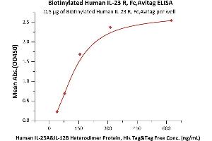 Immobilized Biotinylated Human IL-23 R, Fc,Avitag (ABIN6810042,ABIN6938853) at 5 μg/mL (100 μL/well) on Streptavidin precoated (0. (IL23R Protein (AA 24-355) (Fc Tag,AVI tag,Biotin))
