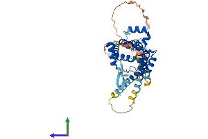 Protein Structure (PS) image for Mitochondrial Carrier 1 (MTCH1) (AA 1-389) protein (His tag) (ABIN7549532)