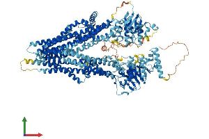 Protein Structure (PS) image for ATP-Binding Cassette, Sub-Family C (CFTR/MRP), Member 4 (ABCC4) (AA 1-1325) protein (His tag) (ABIN7554631)