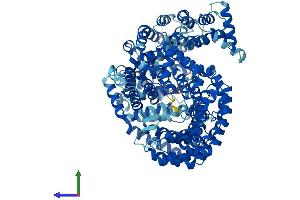 Protein Structure (PS) image for CSE1 Chromosome Segregation 1-Like (CSE1L) (AA 1-971) protein (His tag) (ABIN7556024)