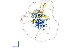 Protein Structure (PS) image for Erythrocyte Membrane Protein Band 4.1 (Elliptocytosis 1, RH-Linked) (EPB41) (AA 1-864) protein (His tag) (ABIN7551865)