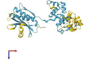 NPRL2 Protein (AA 1-380) (His tag)