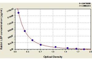 ELISA image for Leptin (LEP) ELISA Kit (ABIN6974601)