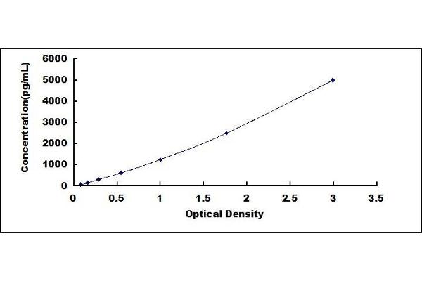 IGFBP6 ELISA Kit