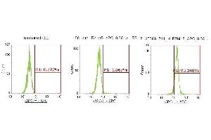 Flow Cytometry (FACS) image for anti-Protein Phosphatase 1F (PP2C Domain Containing) (PPM1F) (AA 1-454) antibody (APC) (ABIN5568331) (PPM1F Antikörper  (AA 1-454) (APC))