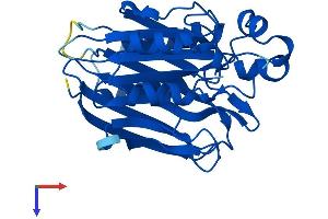 Protein Structure (PS) image for Chromosome 22 Open Reading Frame 25 (C22orf25) (AA 1-276) protein (His tag) (ABIN7544612)