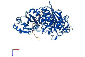 NPEPL1 Protein (AA 1-523) (His tag)