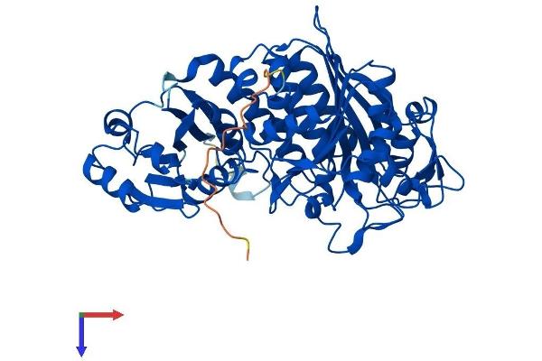 NPEPL1 Protein (AA 1-523) (His tag)